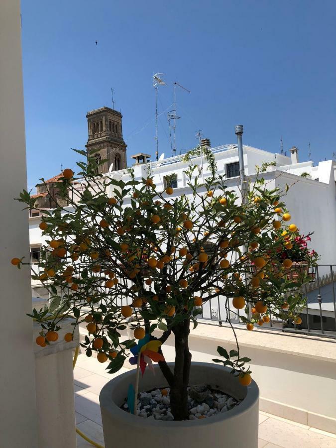 Palazzotto "Fasano Antica" Daire Dış mekan fotoğraf